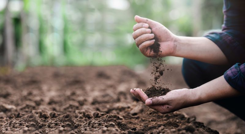 Land Preparation