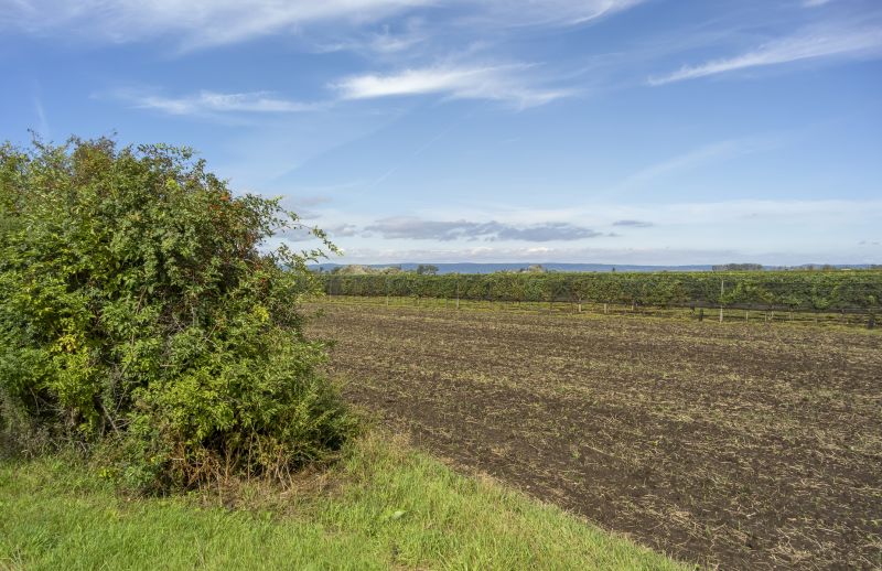 Land Preparation