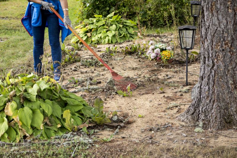 Land Clearing in Utah County, UT