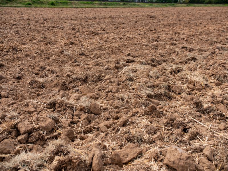 Soil Conditioning Specialists